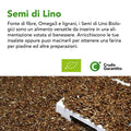 Testo sui Semi di Lino, fonte di fibre, Omega3 e lignani, ricetta per farina da piadine, su sfondo di semi