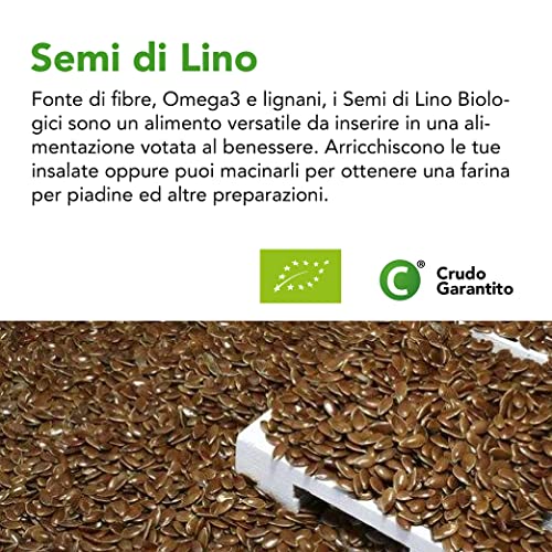 Testo sui Semi di Lino, fonte di fibre, Omega3 e lignani, ricetta per farina da piadine, su sfondo di semi