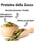 Proteine Di Semi Di Zucca Crude Bio 4