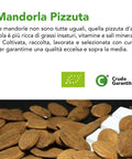 Mandorla Pizzuta D'Avola Bio 5