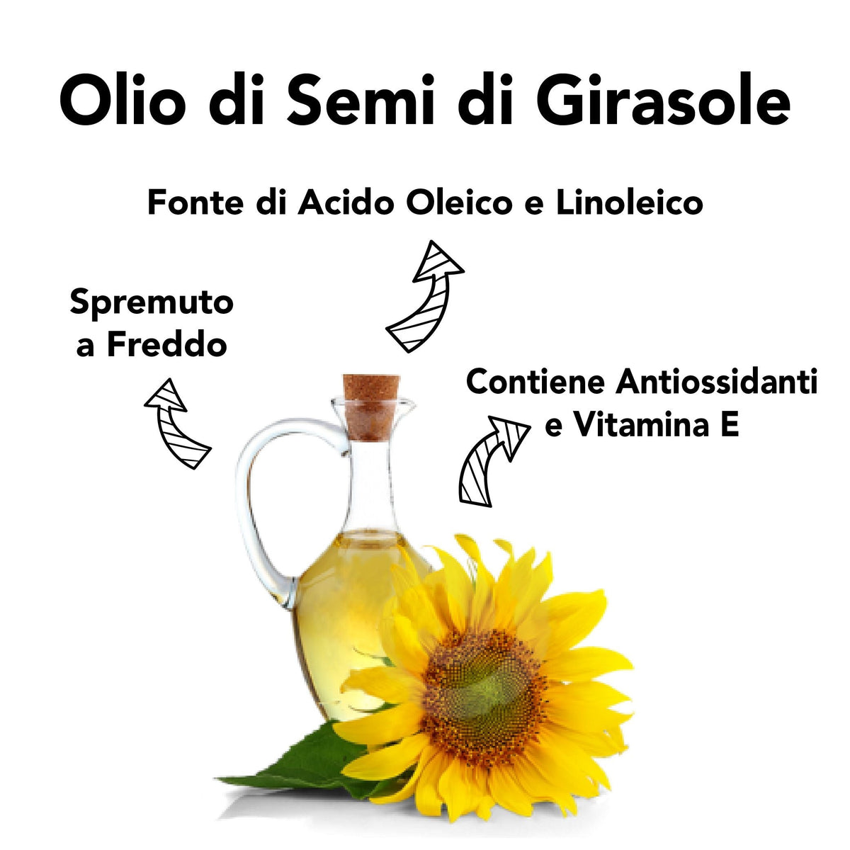 Infografica 'Olio di Semi di Girasole': fonte di acido oleico e linoleico, spremuto a freddo, con antiossidanti e vitamina E
