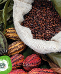 Semi Di Cacao Criollo (Fave) Bio 3