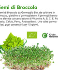 Semi Di Broccolo Da Germoglio Bio 4