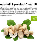 Anacardi Crudi Bio 6