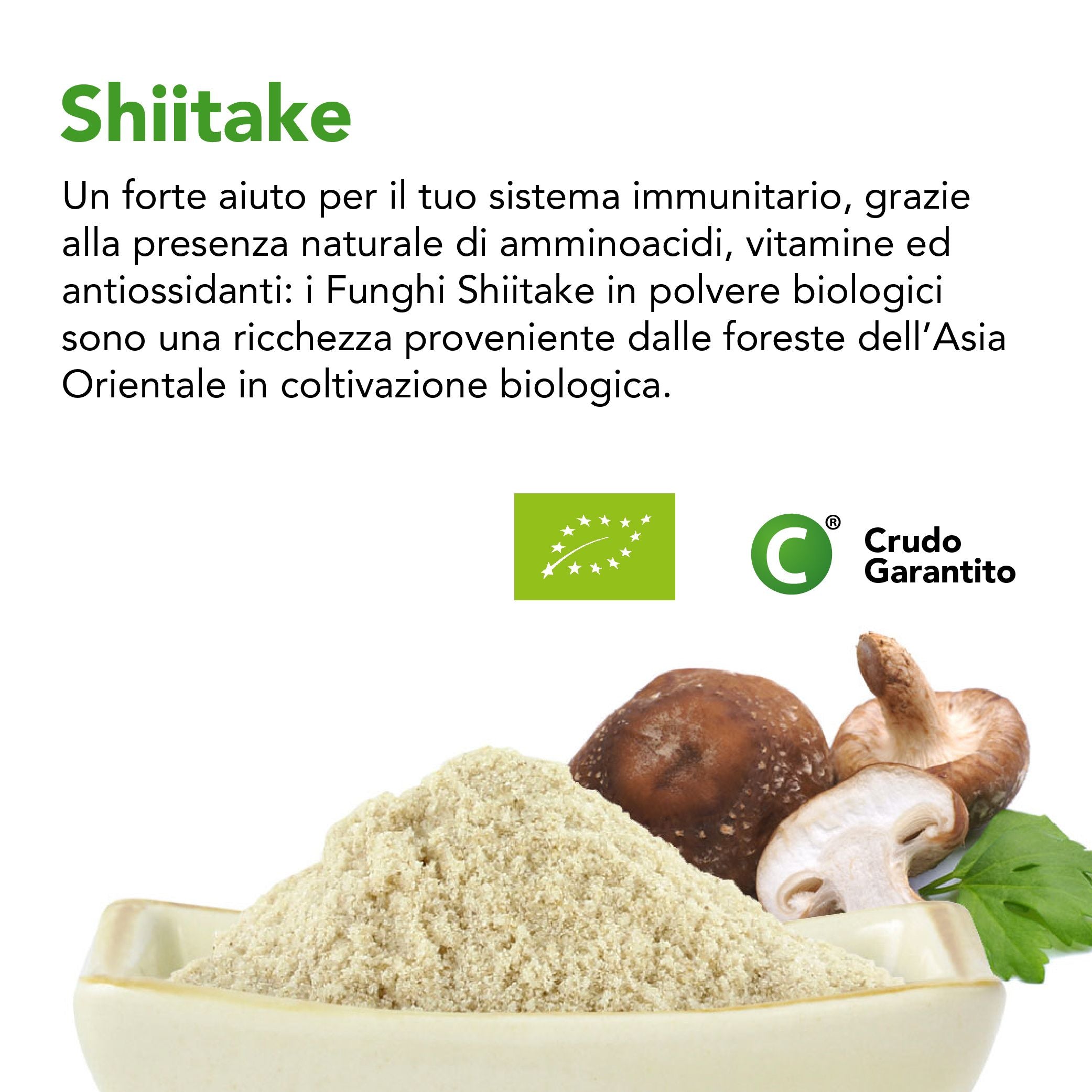 Shiitake - Vaso In Vetro Da 90 Capsule Di Estratto 8:1 Da 350mg Cad - Foto 2