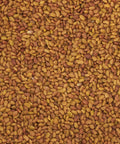 Semi Di Alfa Alfa Da Germoglio Bio 3