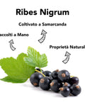 Ribes Nigrum Bio 5