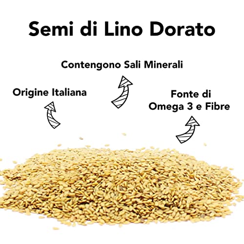 Infografica 'Semi di Lino Dorato': origine italiana, sali minerali, fonte di omega 3 e fibre, su cumulo di semi