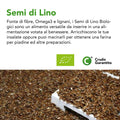 Testo sui Semi di Lino, fonte di fibre, Omega3 e lignani, alimento versatile per insalate e farina per piadine