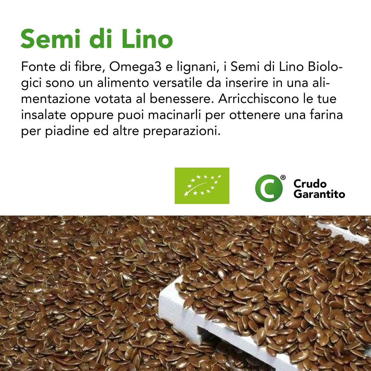 Testo sui Semi di Lino, fonte di fibre, Omega3 e lignani, alimento versatile per insalate e farina per piadine