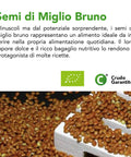 Miglio Bruno Integrale Crudo  Bio 4