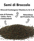 Semi Di Broccolo Da Germoglio Bio 5