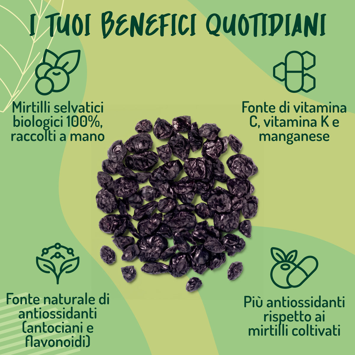 Mirtilli Neri disidratati Crudi E Bio