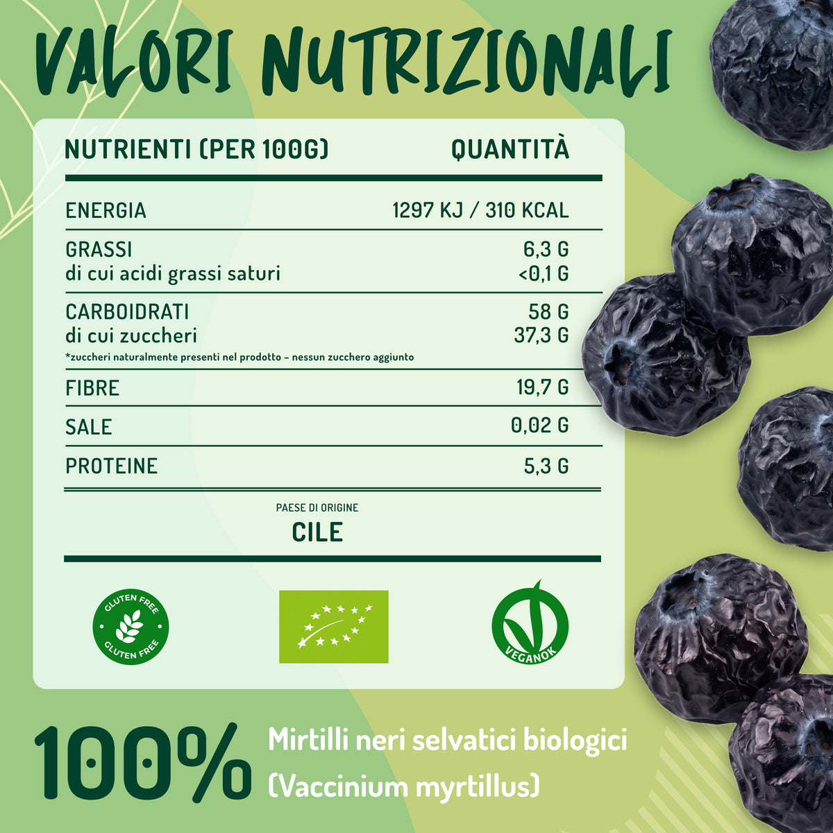 Mirtilli Neri disidratati Crudi E Bio