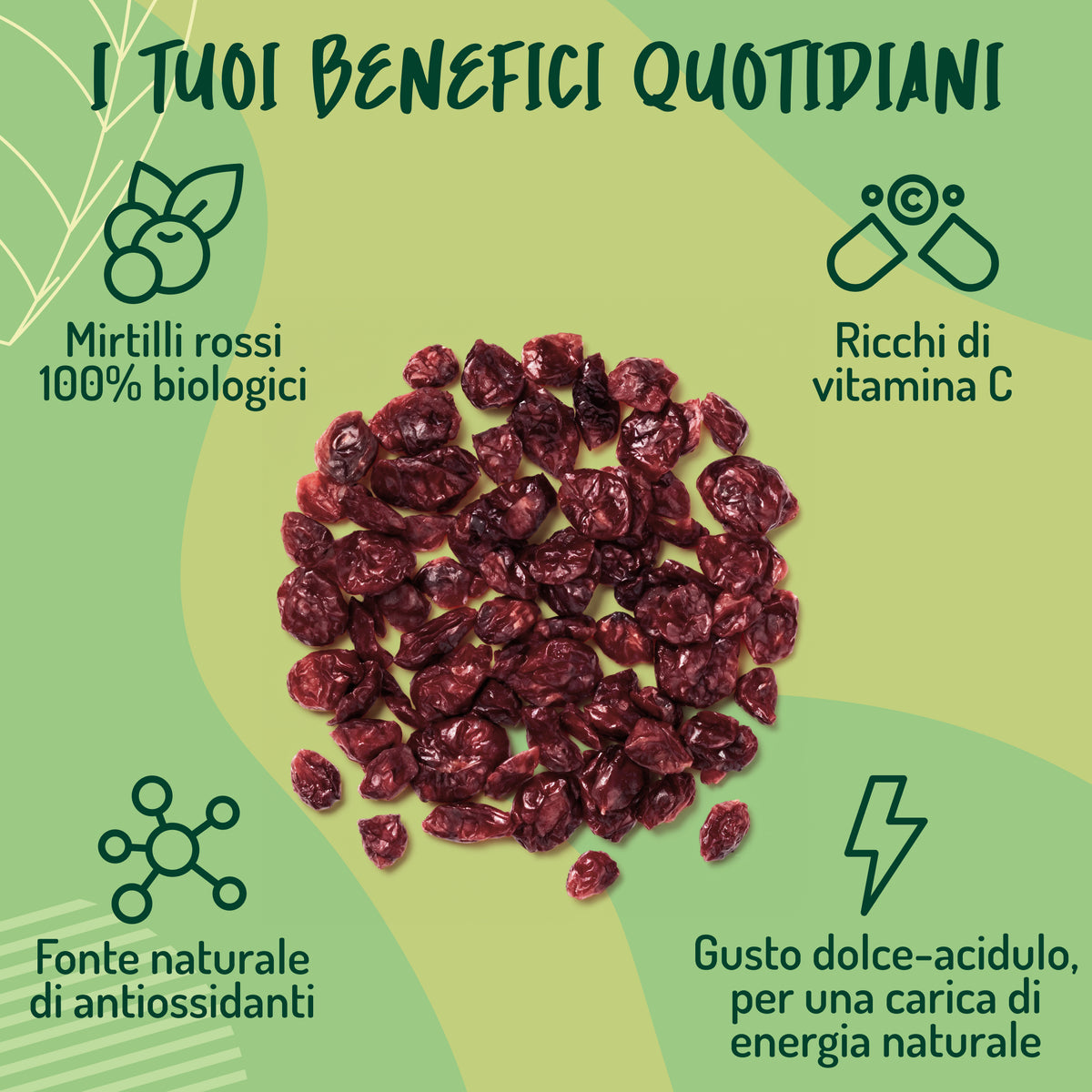 Mirtilli Rossi essiccati Bio