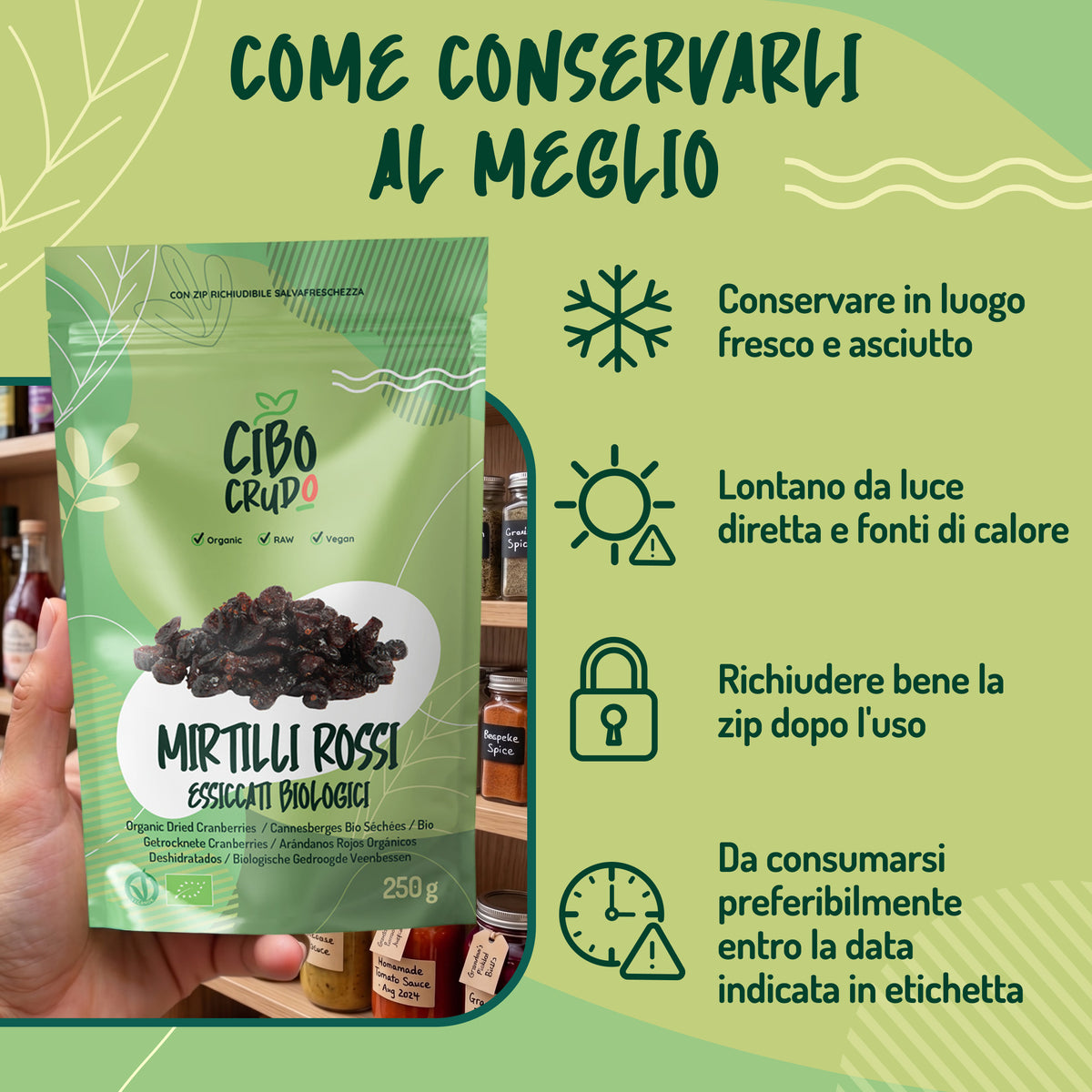 Mirtilli Rossi essiccati Bio