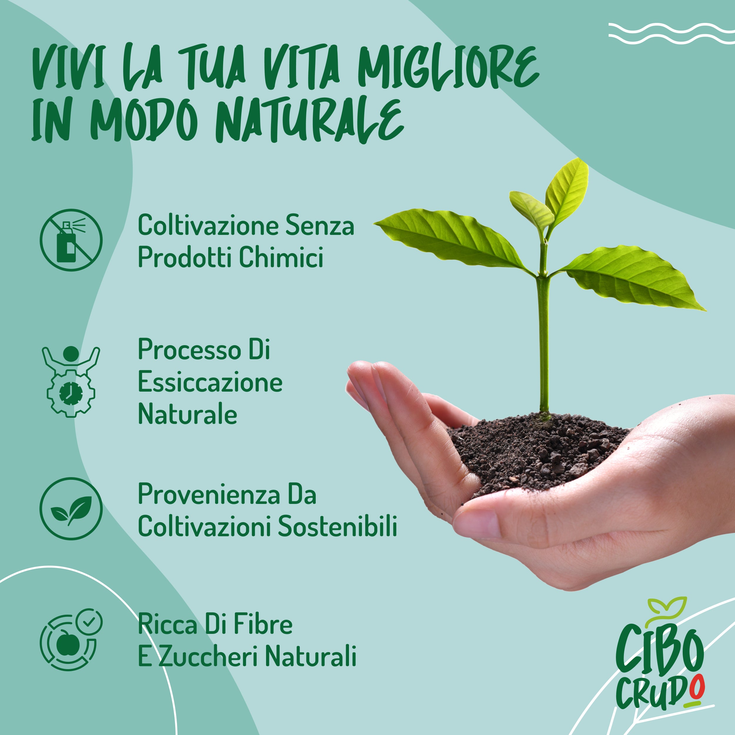 Farina di Carrube Cruda Bio