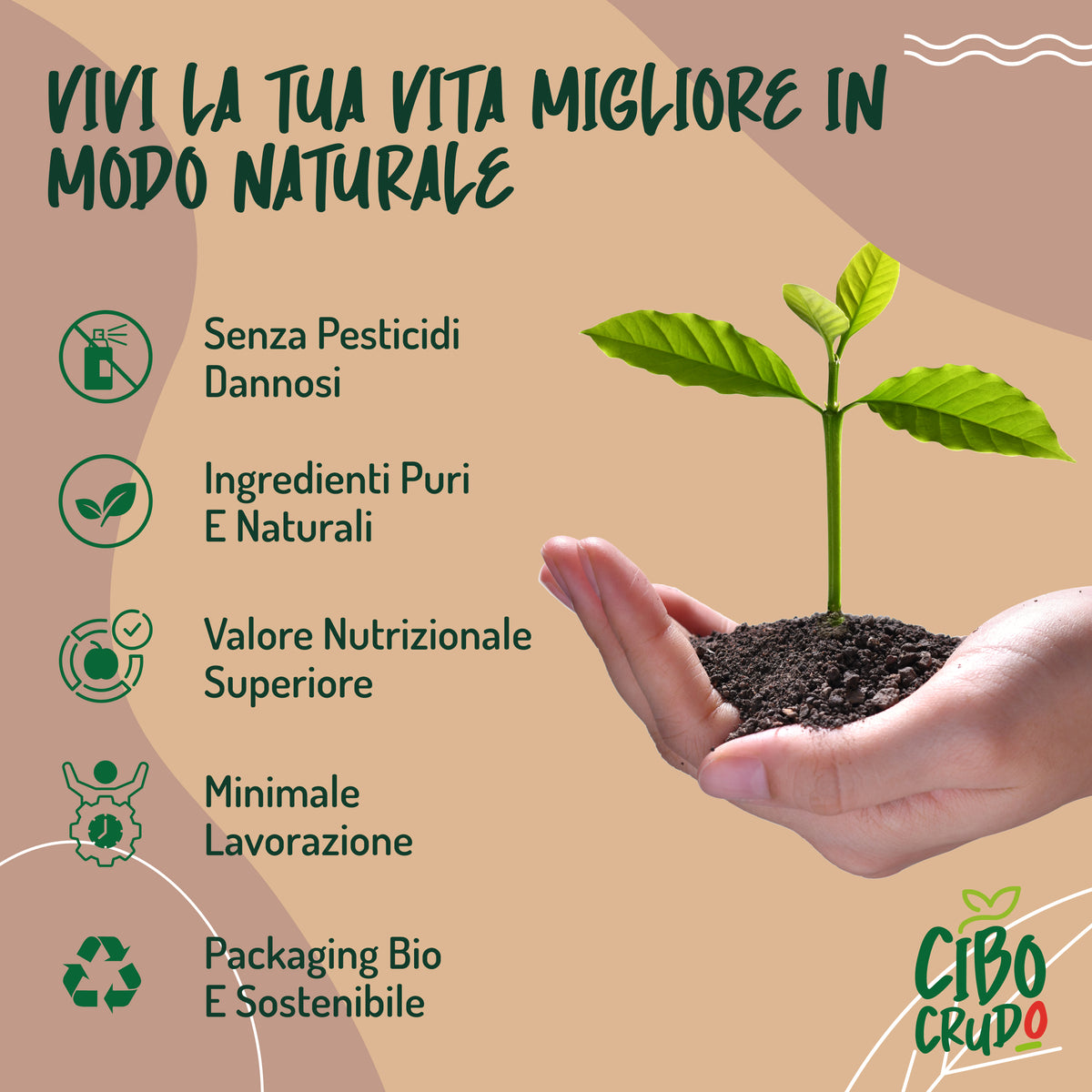 Pasta Di Cacao Criollo Tostato In Pezzi Bio