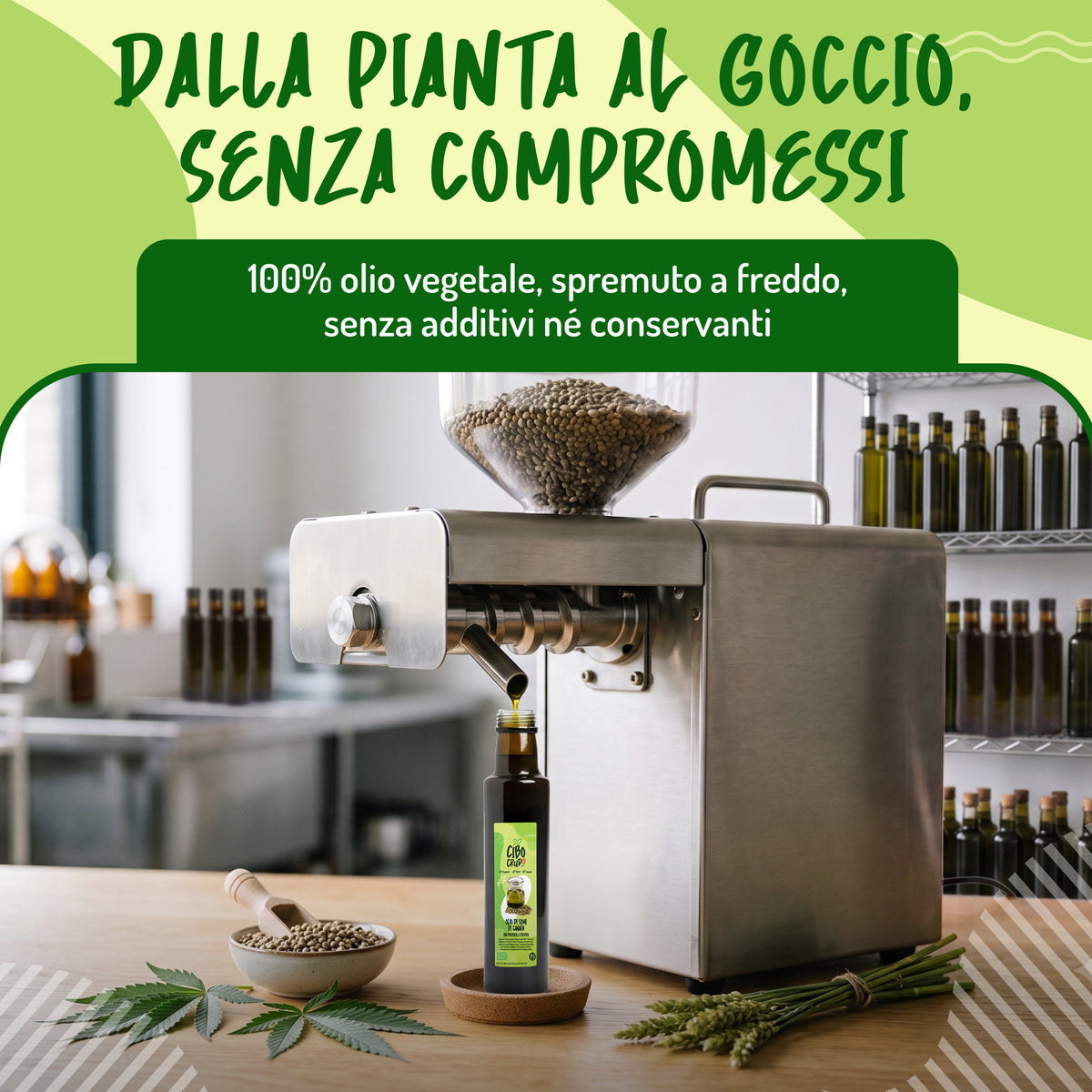 Olio di semi di Canapa spremuto a freddo Bio