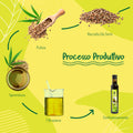 Infografica sul processo produttivo dell'Olio di canapa: raccolta, pulizia, spremitura, filtrazione e confezionamento