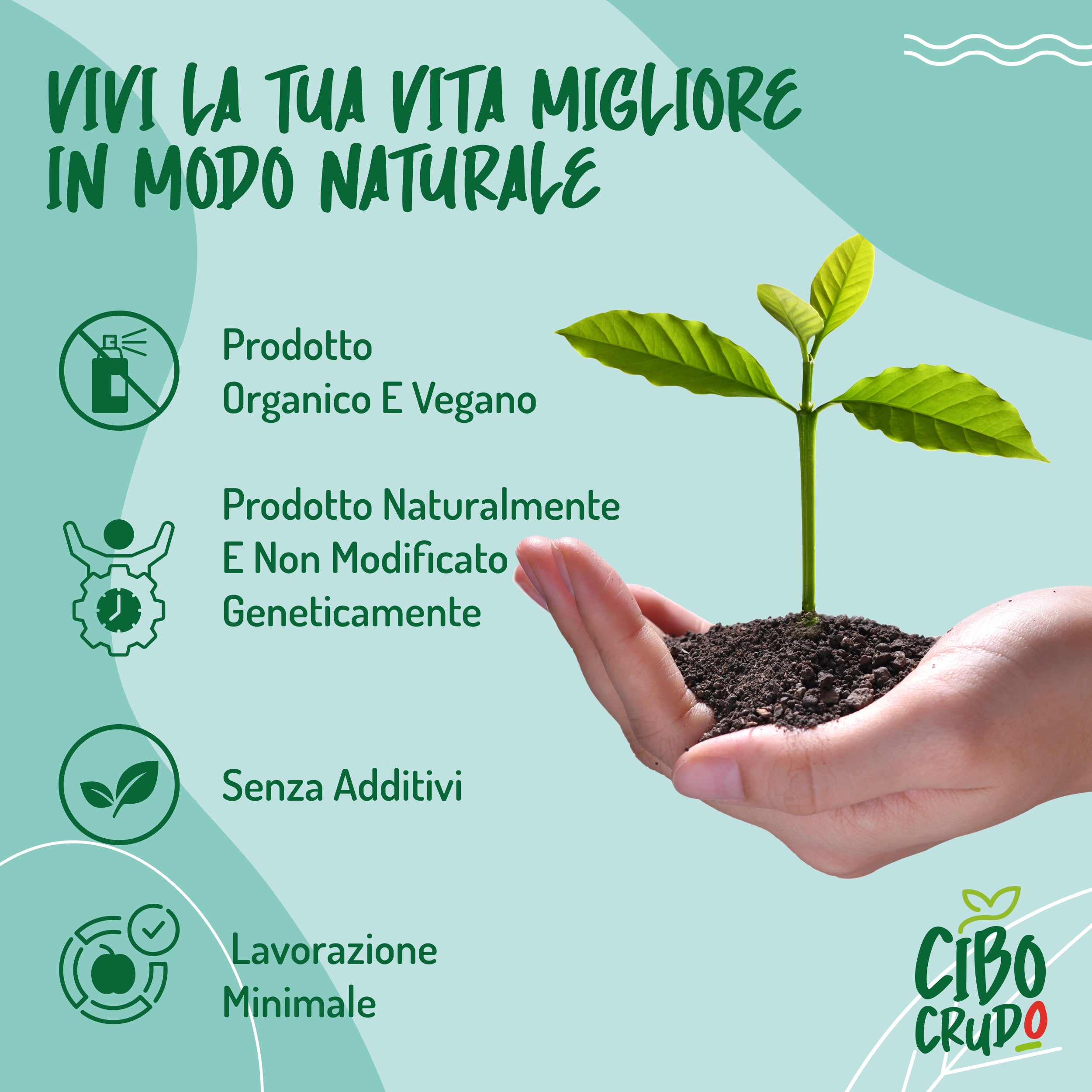 Lievito Alimentare in Scaglie Delicato Bio