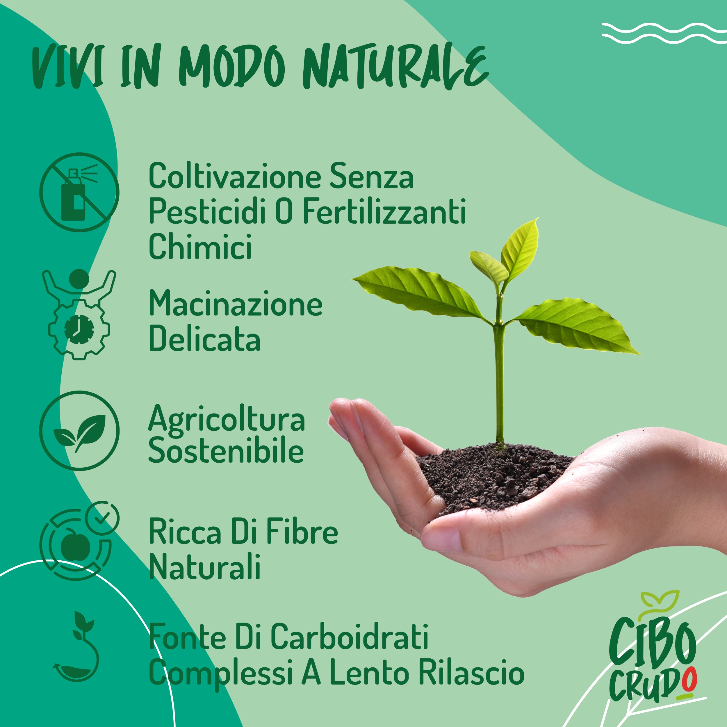 Fibra di Acacia Bio in Polvere