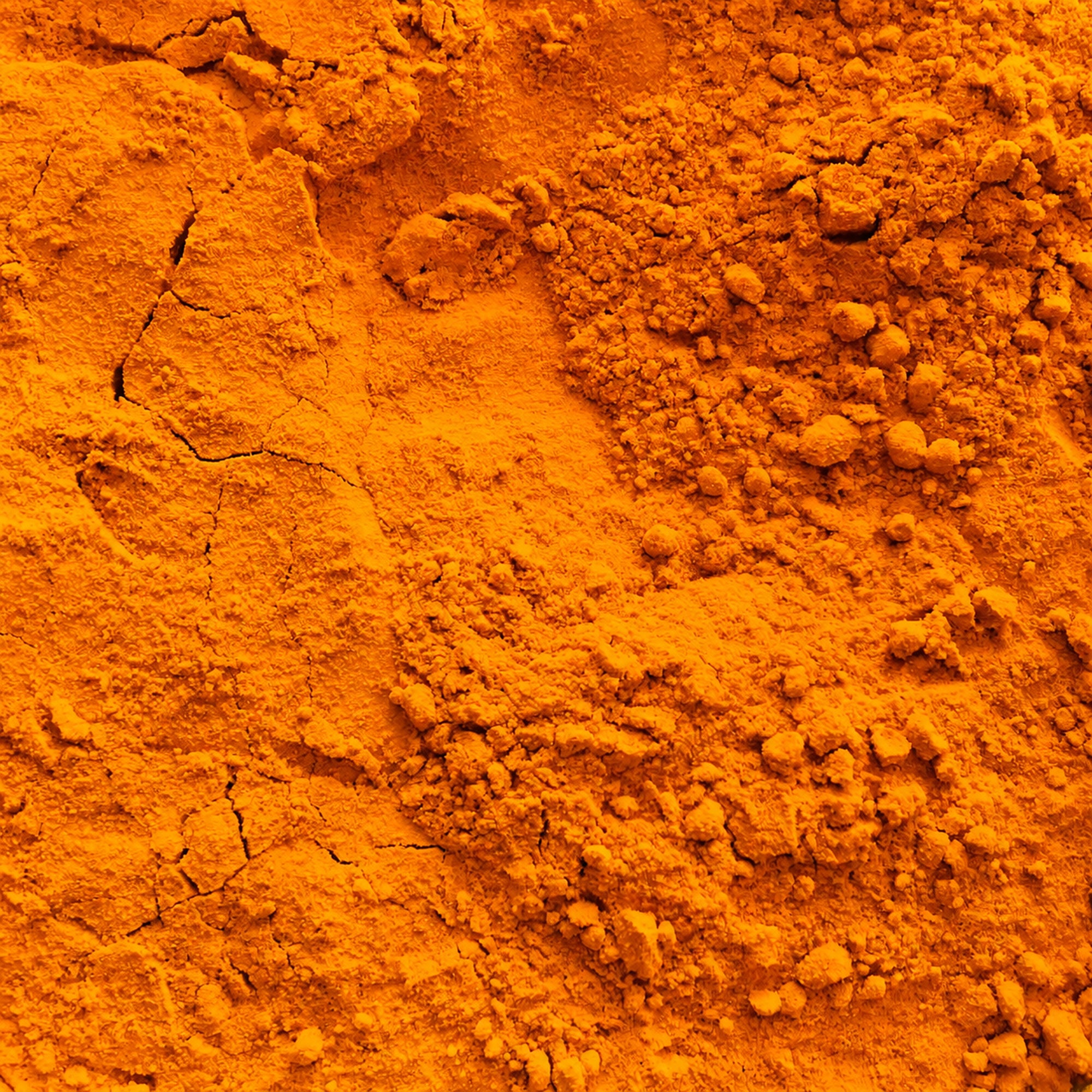 Curry in Polvere Bio