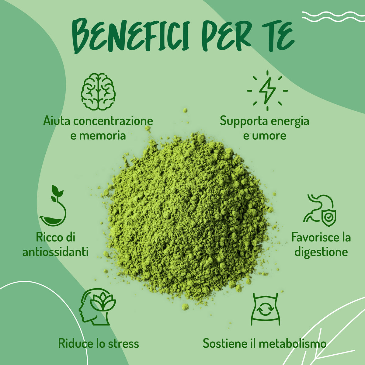 Matcha Culinario Biologico