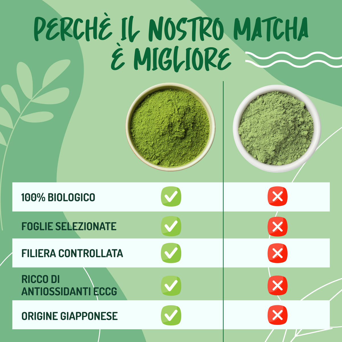 Matcha Culinario Biologico