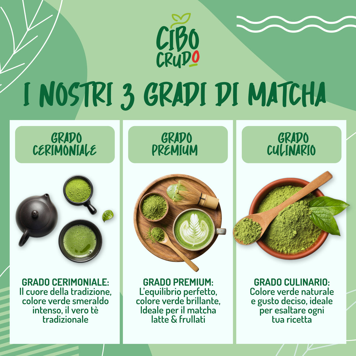 Matcha Culinario Biologico