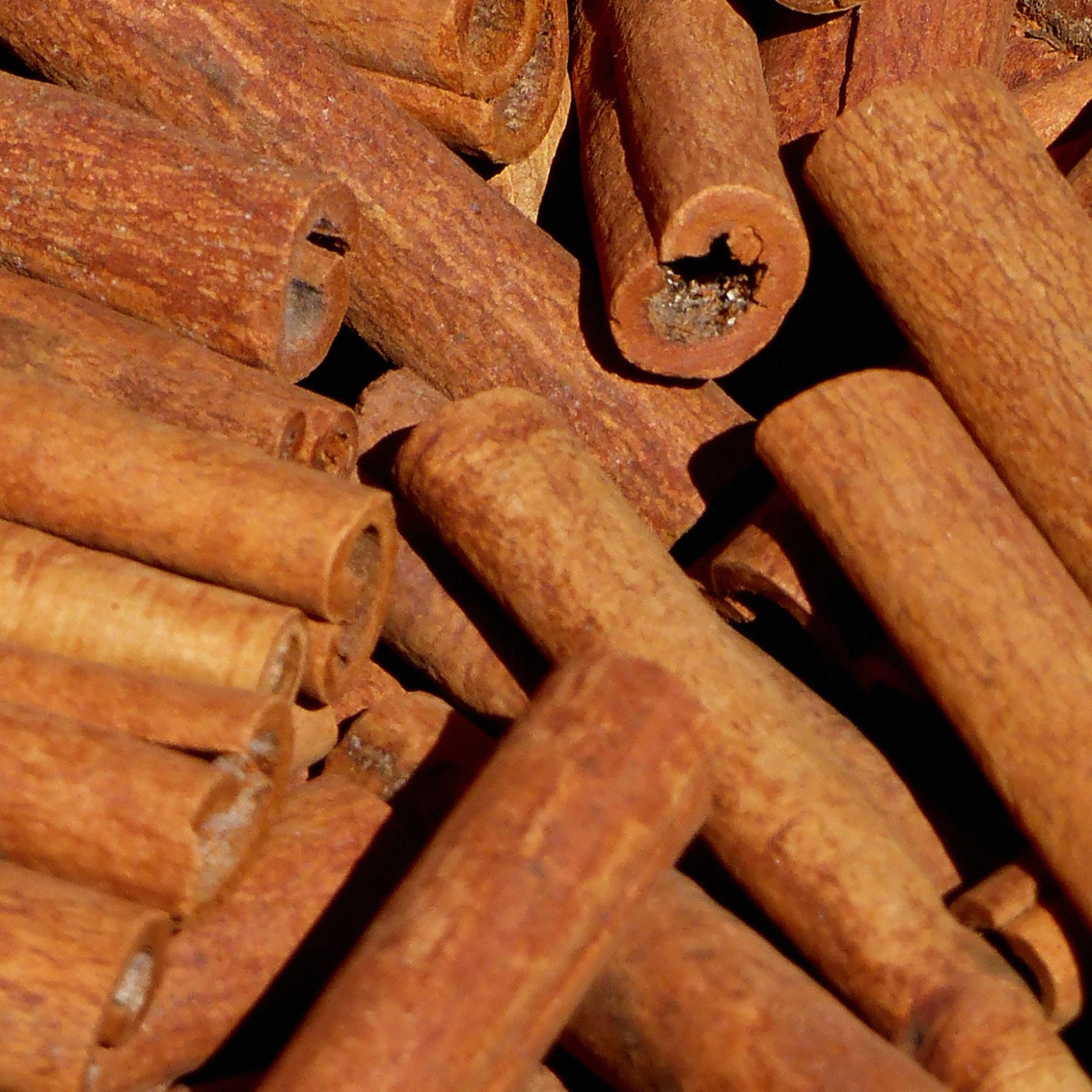 Stecche di cannella Ceylon Alimentare e Biologica