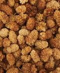 Gelsi Bianchi Secchi Crudi Bio 3