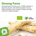 Ginseng Panax Bio 4
