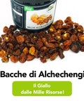 Bacche Di Alchechengi Secche Crude E Bio 2