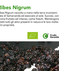 Ribes Nigrum Bio 4