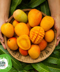 Mango Essiccato A Fette Crudo Bio 4