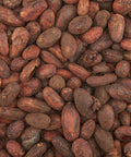 Semi Di Cacao Criollo (Fave) Bio 3