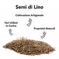 Infografica 'Semi di Lino': coltivazione artigianale, vari utilizzi in cucina, proprietà naturali, su sfondo bianco