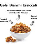 Gelsi Bianchi Secchi Crudi Bio 5