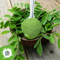Moringa In Polvere Bio 3