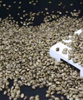 Semi Di Canapa Interi Crudi Bio 3
