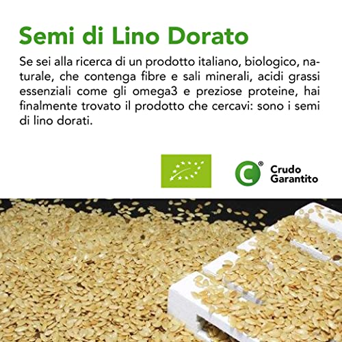 Testo 'Semi di Lino Dorato': prodotto italiano biologico ricco di fibre, sali minerali e omega 3, su primo piano dei semi