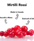 Mirtilli Rossi Essiccati Bio 4