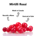 Infografica 'Mirtilli Rossi': raccolti a mano, made in Canada, essiccati al sole, con frutti freschi