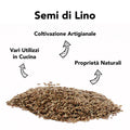 Infografica 'Semi di Lino': coltivazione artigianale, vari utilizzi in cucina, proprietà naturali, su semi sparsi