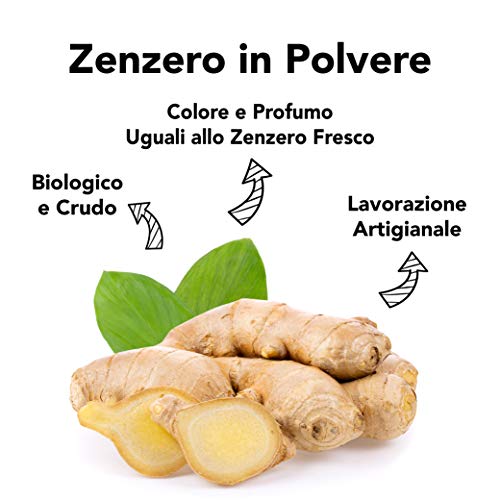 Zenzero biologico in polvere - aroma intenso, qualità premium | Natur Zenzero biologico in polvere - aroma intenso, qualità premium | Natur