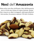 Noci Brasiliane (Amazzonia) Crude Bio 5