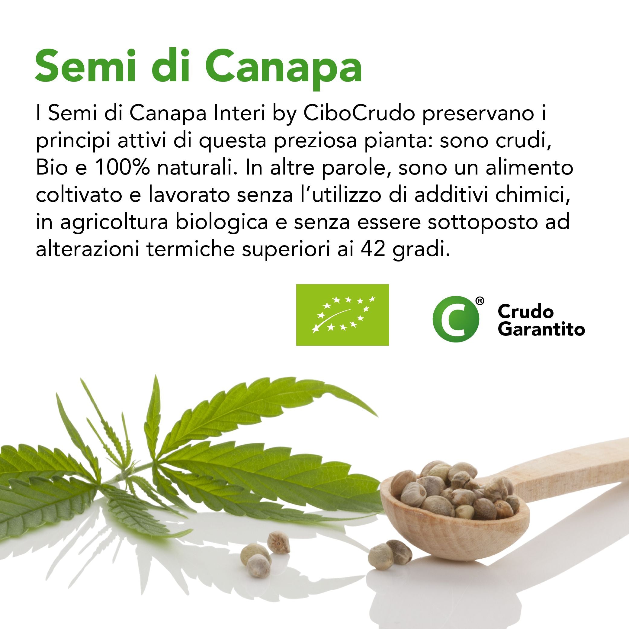 Sementi Dotto Bonus Semi di Canapa 20kg (mangime per Uccelli Sementi Dotto Bonus Semi di Canapa 20kg (mangime per Uccelli
