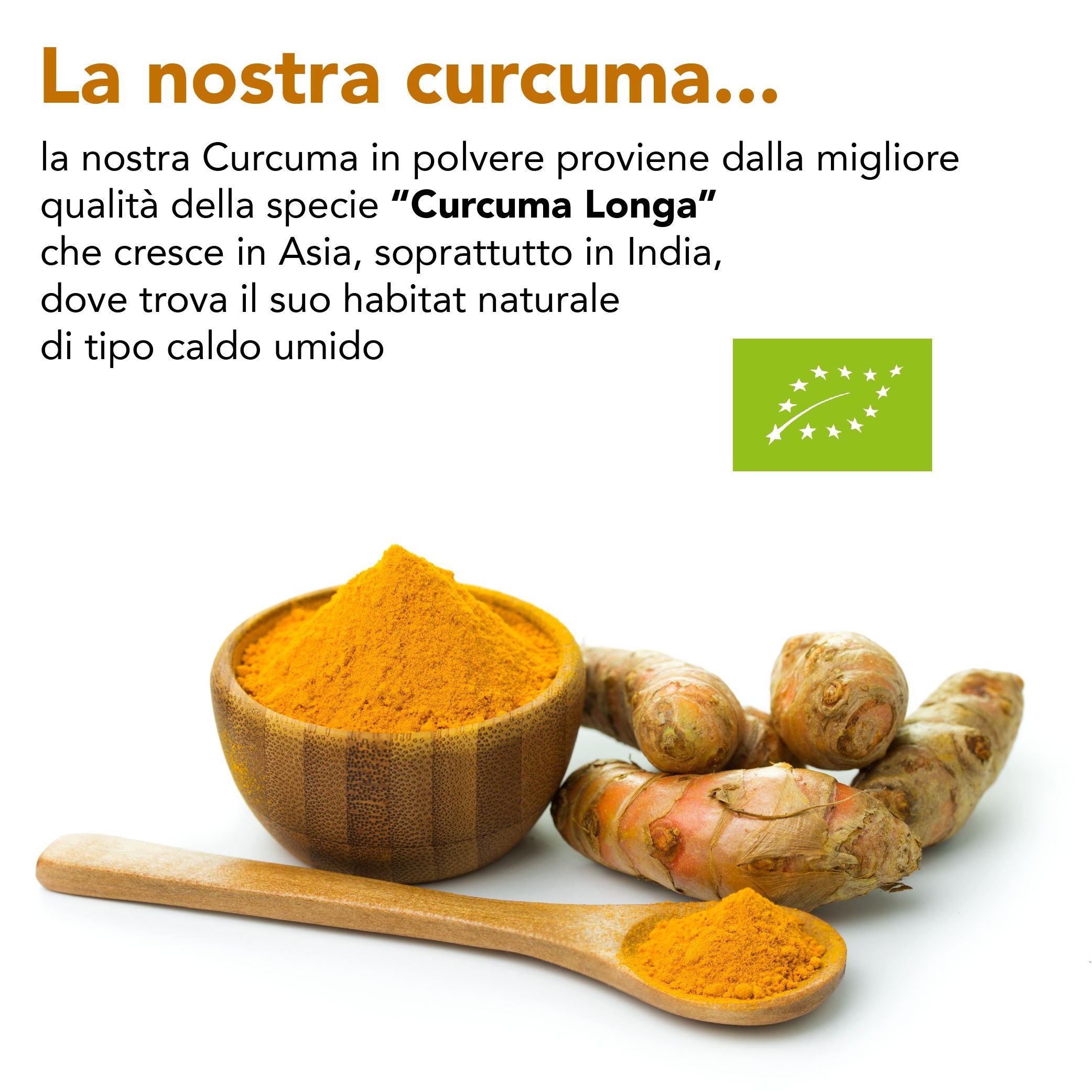 Curcuma In Polvere Naturale Senza Conservanti Di Nuova Produzione Spezie E Aromi - Foto 14
