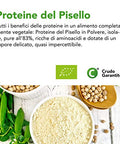 Proteine Del Pisello Crude Bio 4